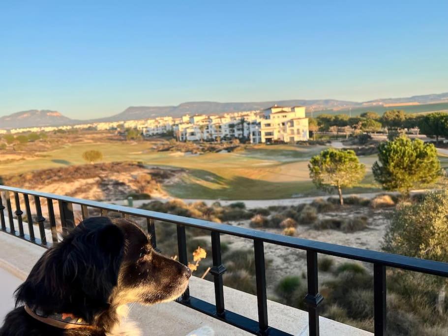 شقة Myrtus Golf مرسية المظهر الخارجي الصورة